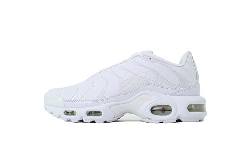 Nike Air Max Plus Triple White  AJ2029-100